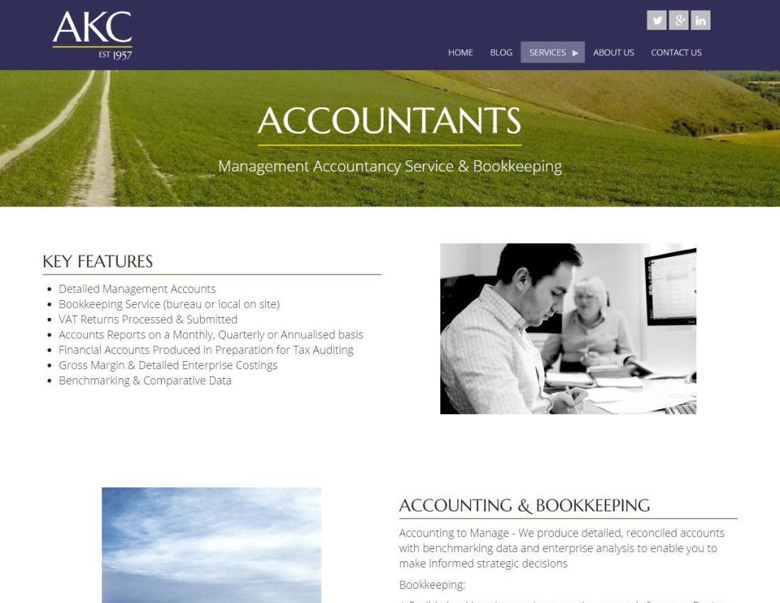business web site screengrab