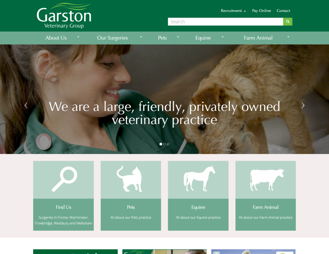 Website for Independent Veterinary Chain