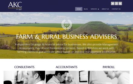 Business web site Drupal 8